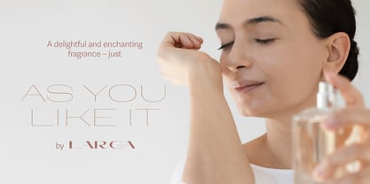 Larga Sans High Font Poster 5